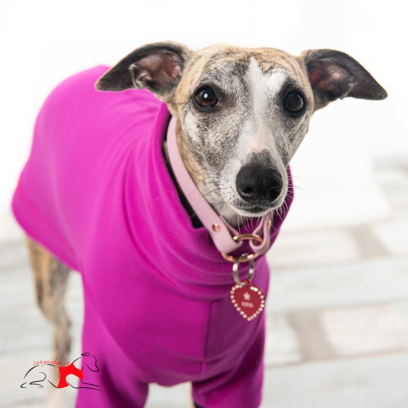 DOG FLEECE SWEATSHIRT