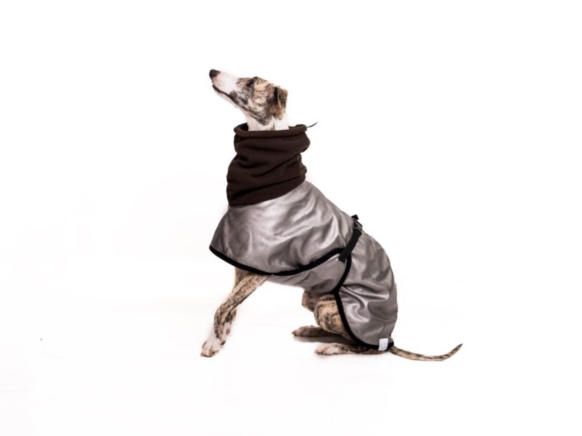 Urban Street Bunda pro psy