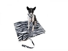 ZEBRA blanket