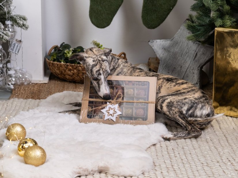 Vitamínová BONBONIÉRA pro psy 1000g