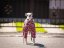 HEART ATTACK SUIT - overal pro psy