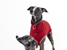 Obojek polostahovací podšítý měkkou textilií GUZI