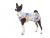 Lightweight dog sweatshirt with tail-up design – FLOWERS, size M