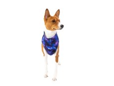 Basenji ľahká mikina FIALKY
