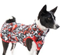 Basenji lehká mikina VALENTÝN