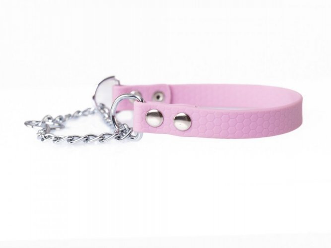 BioThane® collar with pull chain and lead