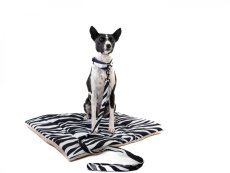 Africa ZEBRA vodítko z pevné nepromokavé tkaniny