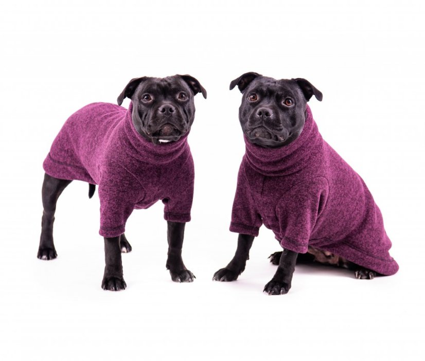Wanted long sweater for the dog