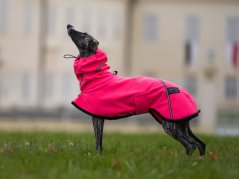 Softshell dog jacket – NEON PINK, size S