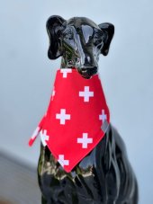 Dog scarf CODURA SWISS