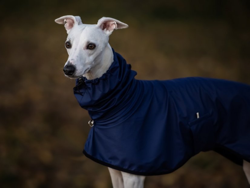 Outdoor Aqua - voděodolná pláštěnka pro psy