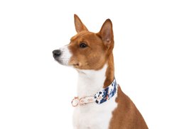 Semi- collar made of Biothane heart Color- 4 cm