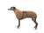 Mocca Cloud Coat – sporty wrap coat for slim dogs