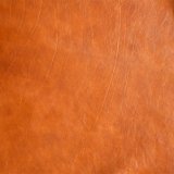 rusty skin