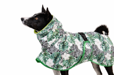 Africa Hibiscus – softshell raincoat for dogs with naturally carried tail