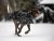 Raincoat LUMI dogwear light