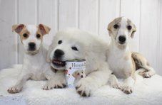 Heinersberger Junior menu masová konzerva 400g