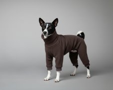MERINO dog overall | Tail-Up (tail up) | 100% merino
