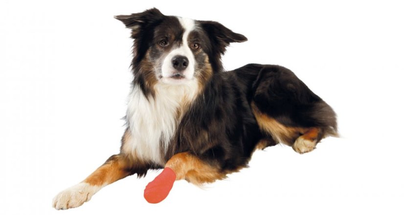 Samodržiace bandážové ovínadlo 5 cm/4,5 m
