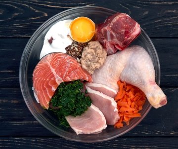 Výživa psieho športovca