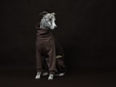 Merino Dog Overall – 100% MERINO | MUST HAVE 2026