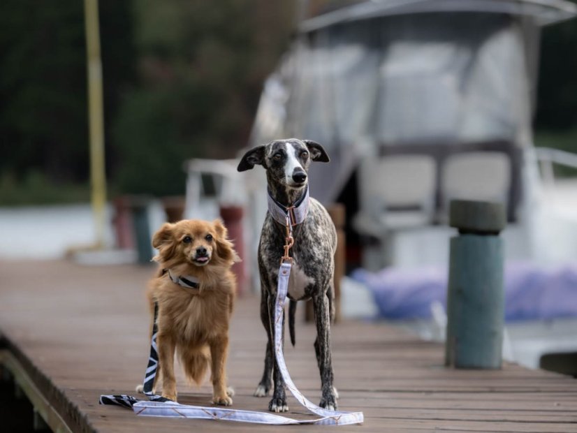 Vodítko šedé z pevné nepromokavé tkaniny