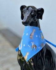 Dog scarf CODURA MODRÝ GREYHOUND