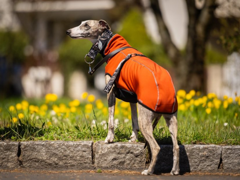 RAIN ARMOR FLEX HOODIE - softshellová mikina pro psy