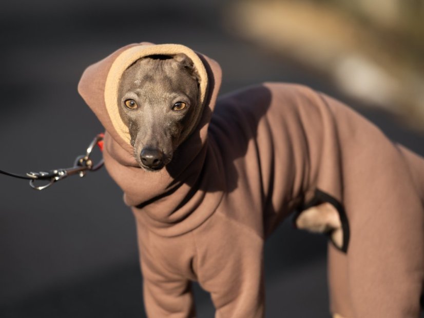 ComfyDog Overal s Kapucí