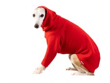 Teplákovinová mikina pre psov – predné nohavice