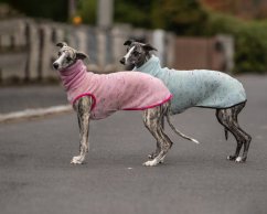 Warmkeeper Love Edition – dúhové srdiečka