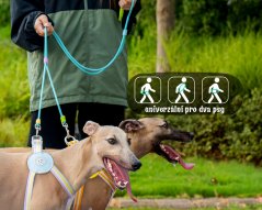 Macaron Fashion Duo – handsfree double nylon leash for two dogs