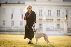 Designový set pro psy s polostahovacím obojkem a přepínacím vodítkem 2m – INDY