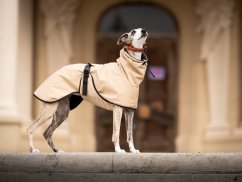 Minimalist dog jacket