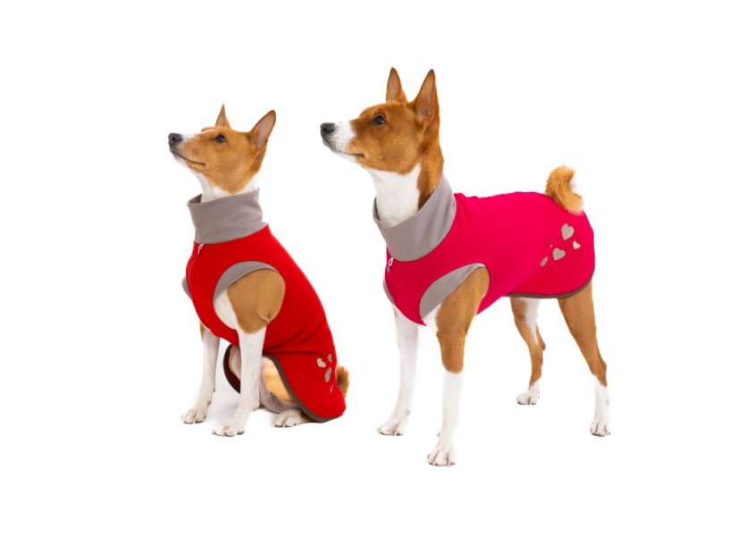 Love Hearts – mikina pro psy s ocáskem nahoru