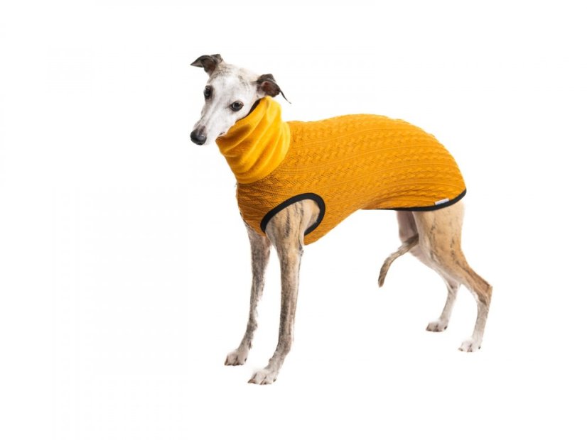 CARDIGAN LIMITED COLLECTION