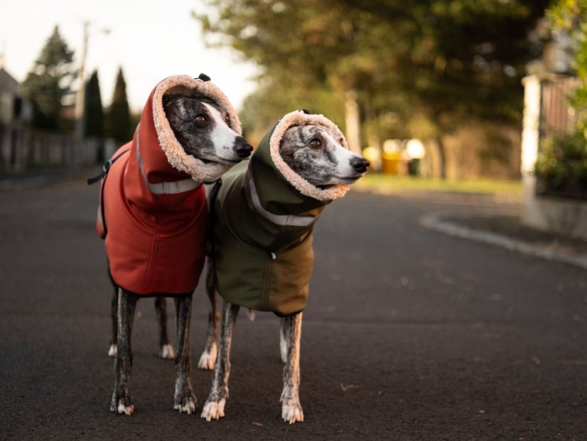 TerraLuxe Softshell Winter – zimní bunda s béžovým beránkem pro psy