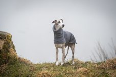 Performance Shell Dog Jacket – funkčná bunda s hrejivým fleecom