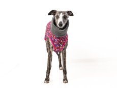 Warm Dog Hoodie – HEART BLOOM