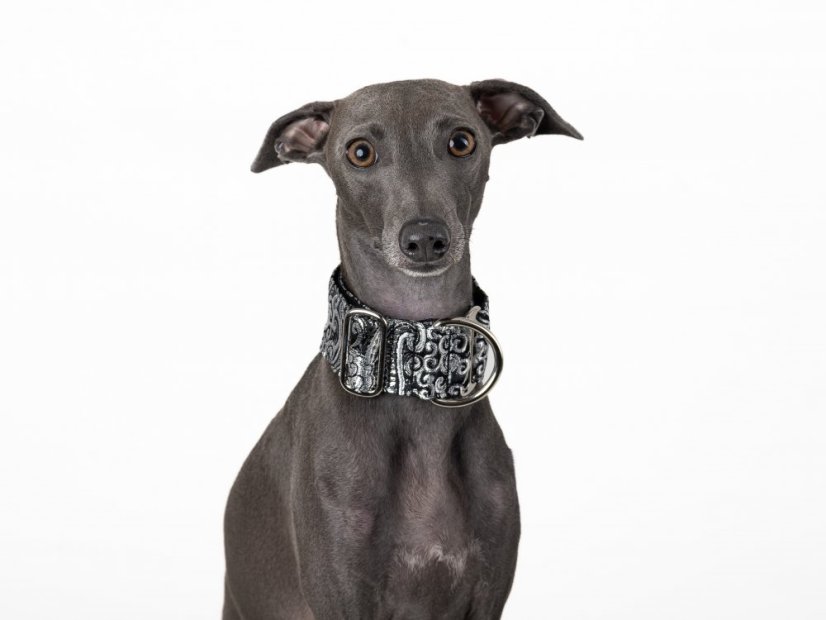 Brokátový luxusný obojok