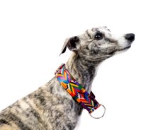 MAGIC COMFORT COLLAR – polostahovací obojek pro psy