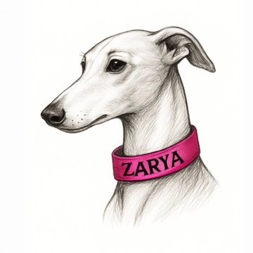 Obojek pro psa, který ho udrží pod kontrolou