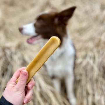 "Healthy treats for your dog: How to choose them and when to give them"