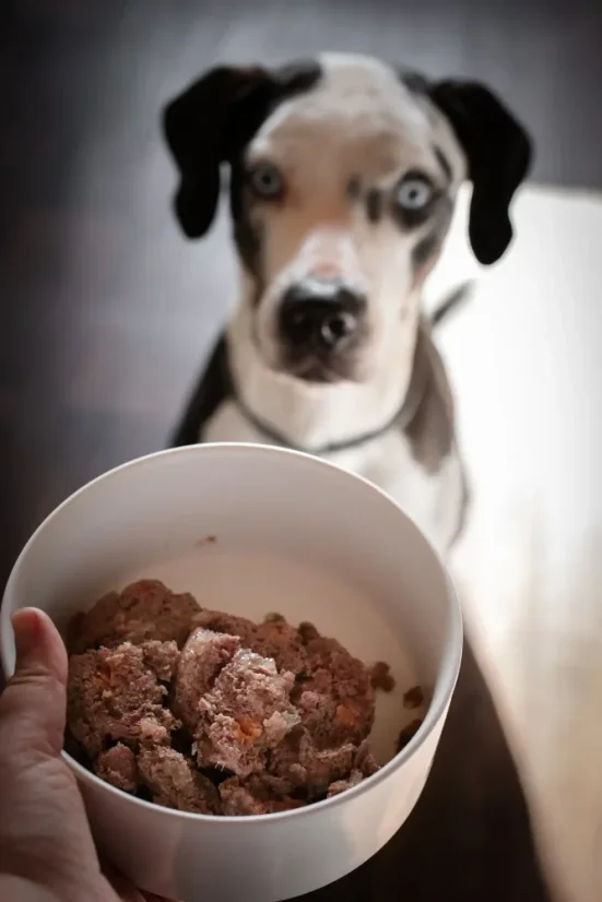 Marp Mix konzerva pro psy kuře+zelenina 400g