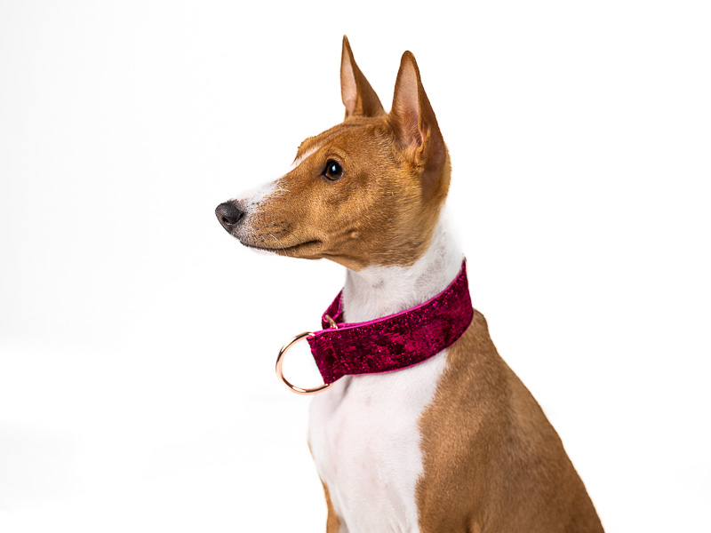 COLLAR MIX