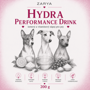 Hydratace psa v létě: proč samotná voda nestačí a kdy pomáhají elektrolyty