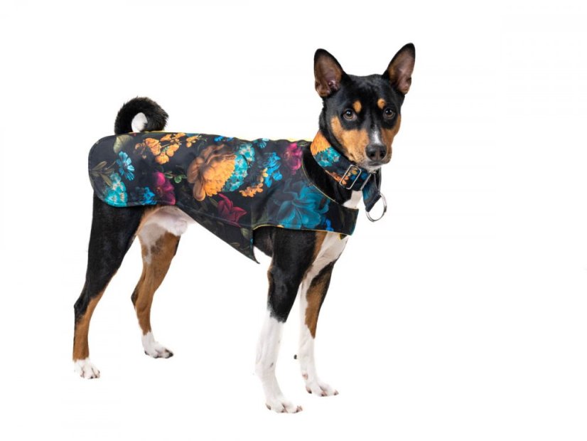 Basenji light RAIN COVER