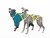 NeonTrail PRO Mushing Postroj – neon žlutá (Limited Edition)