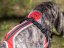 DYNAMIC CORE HARNESS – lehký postroj pro psy s maximální kontrolou a komfortem