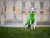 Dog Sweater – GREEN, size M1